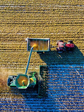 Kunden der Lebensmittelbranche Lebensmittelproduzent Lebensmittelhersteller Lebensmittellogistiker Lebensmittelhandel Projektleitung IT-Einführungsprojekt Consulting Beratungsleistung der Unternehmensberatung W+W Consulting GmbH in Ettlingen Baden-Württemberg Deutschland