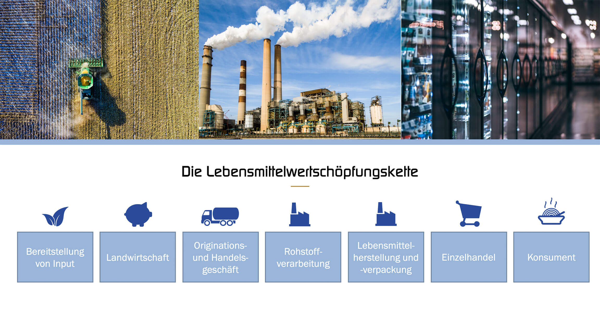 Die Lebensmittelwertschöpfungskette Industrie-News W+W Consulting GmbH in Ettlingen